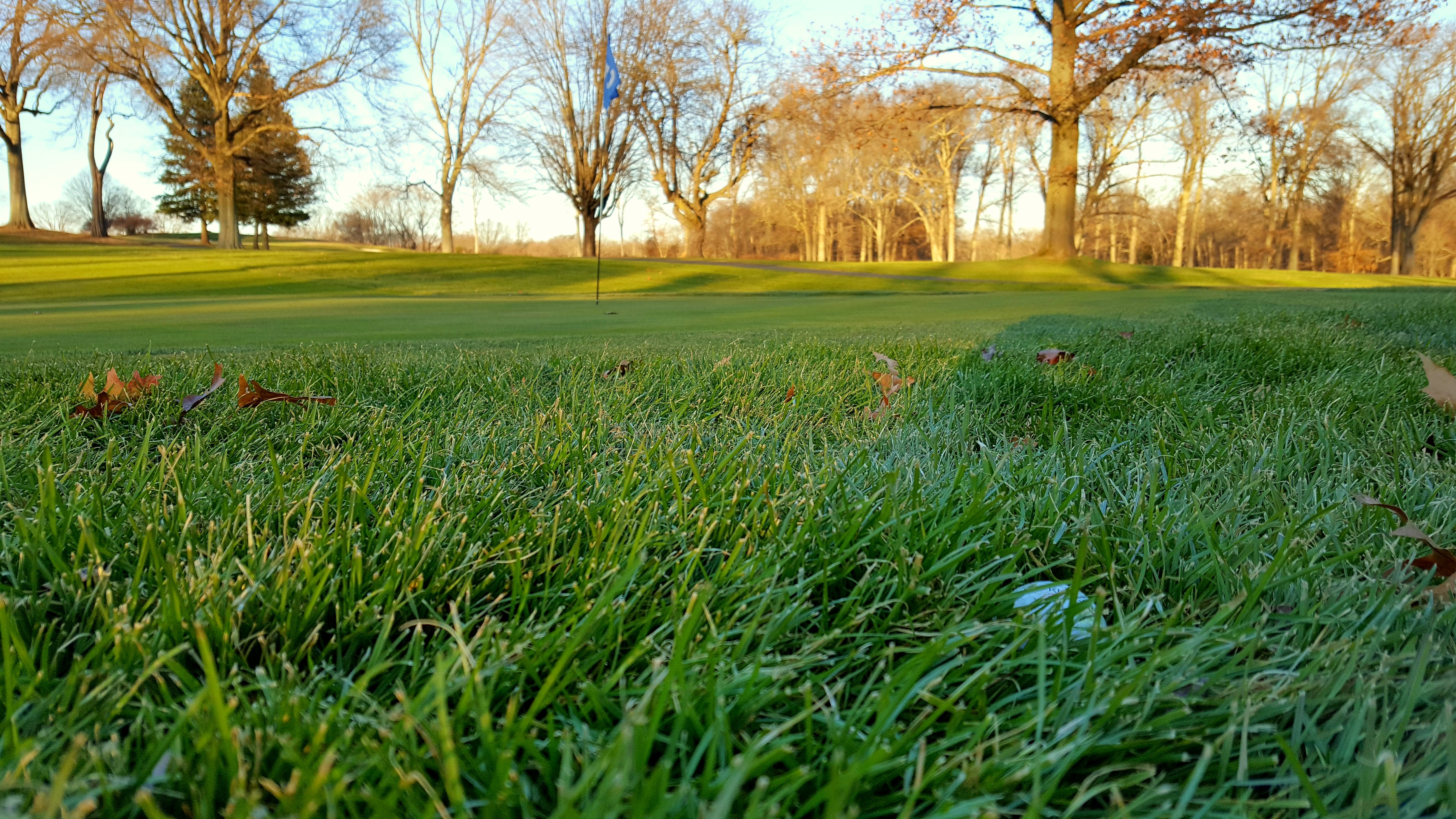 20171221_153817 - Copy