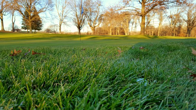 20171221_153817 - Copy