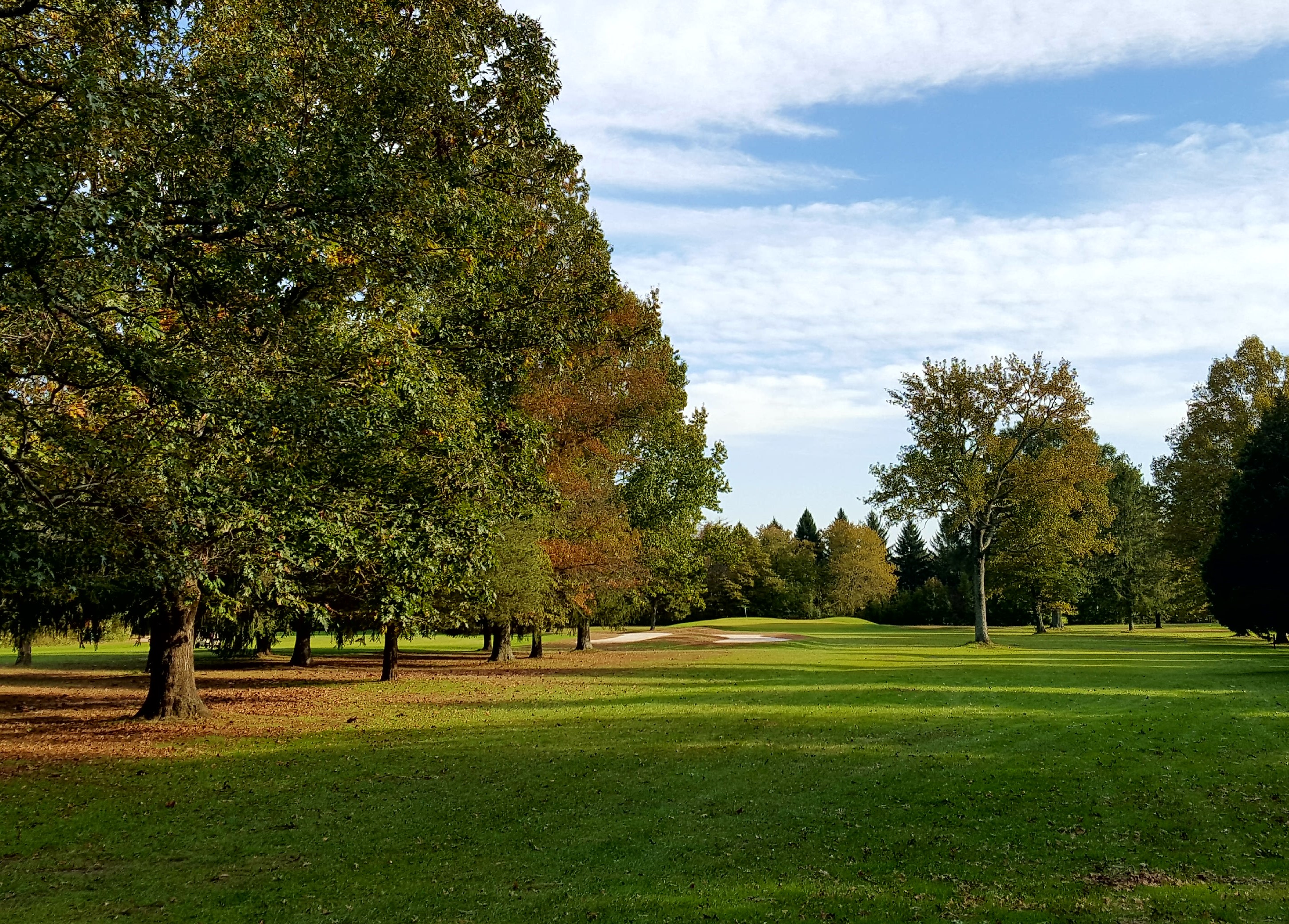 20181023_210628_Crop